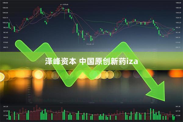 泽峰资本 中国原创新药iza