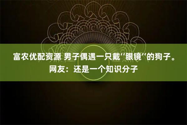 富农优配资源 男子偶遇一只戴‘’眼镜‘’的狗子。网友：还是一个知识分子